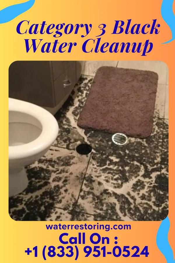 Category 3 Black Water Cleanup in Westport, IN