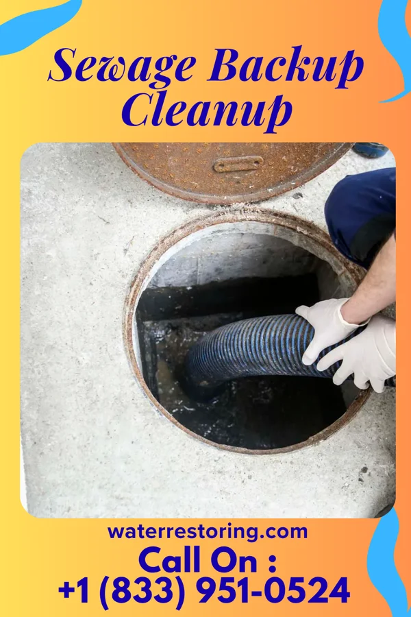 Sewage Backup Cleanup in Westport, IN